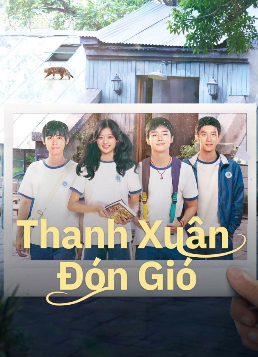 Xem phim Thanh Xuân Đón Gió
